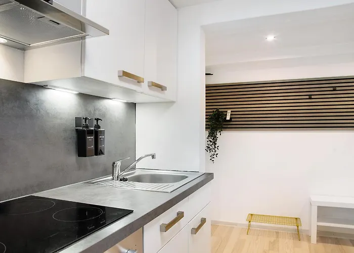 Schoenauer Hof - Lux Apartamento Passau